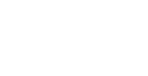 Q & A