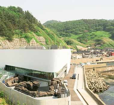 クラゲ水族館