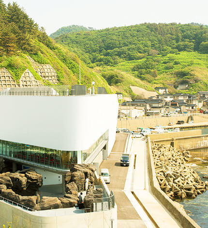 鶴岡市立加茂水族館